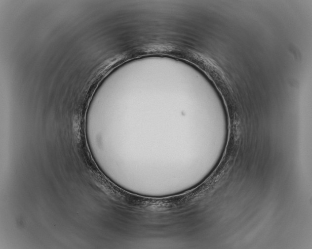 X0000113011217200909241345