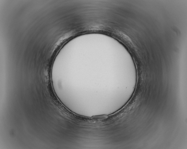 X0000113011218200909241345