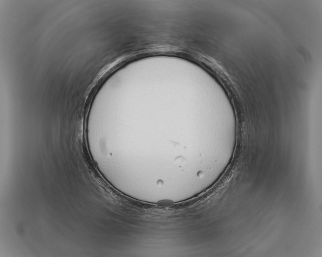 X0000113011220200909241345