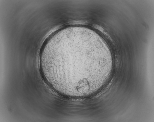 X0000113011221200909241345