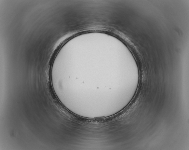 X0000113011222200909241345