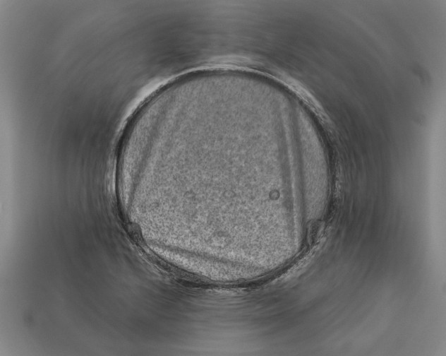 X0000113011224200909241345