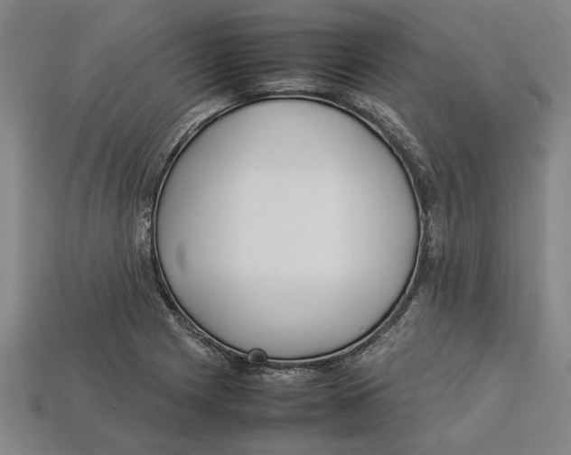 X0000113011225200909241345