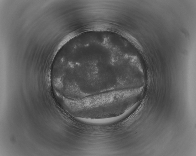 X0000113011226200909241345