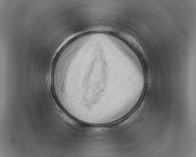 X0000113011228200909241345
