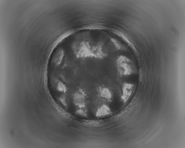 X0000113011229200909241345