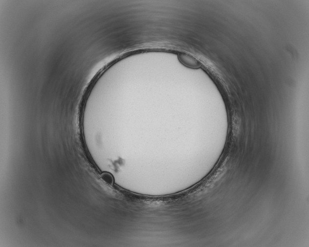 X0000113011230200909241345