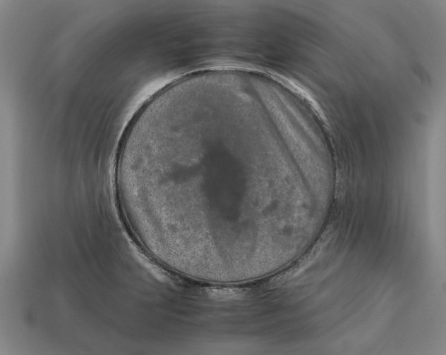 X0000113011231200909241345