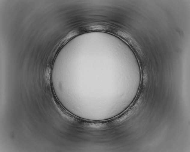 X0000113011233200909241345