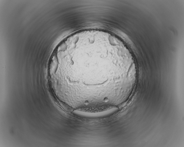 X0000113011234200909241345