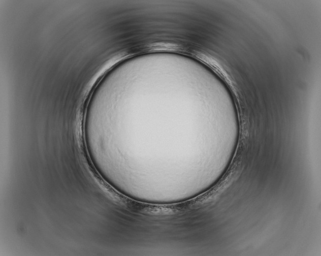 X0000113011235200909241345