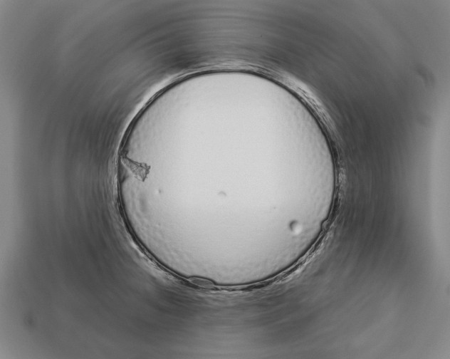 X0000113011236200909241345