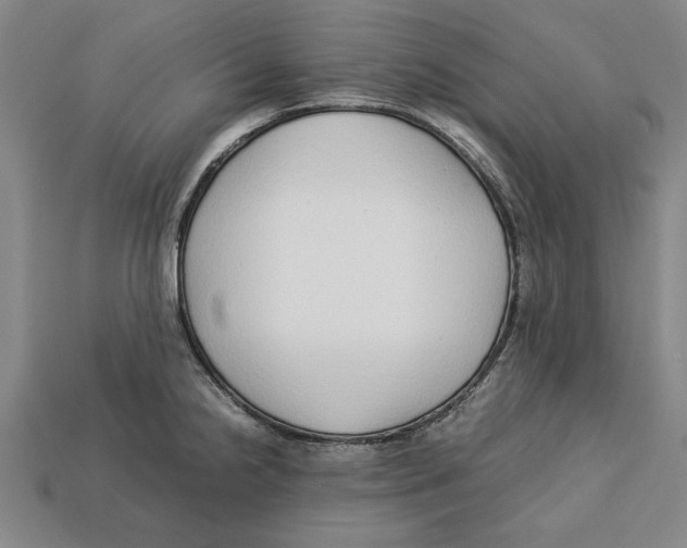 X0000113011238200909241345