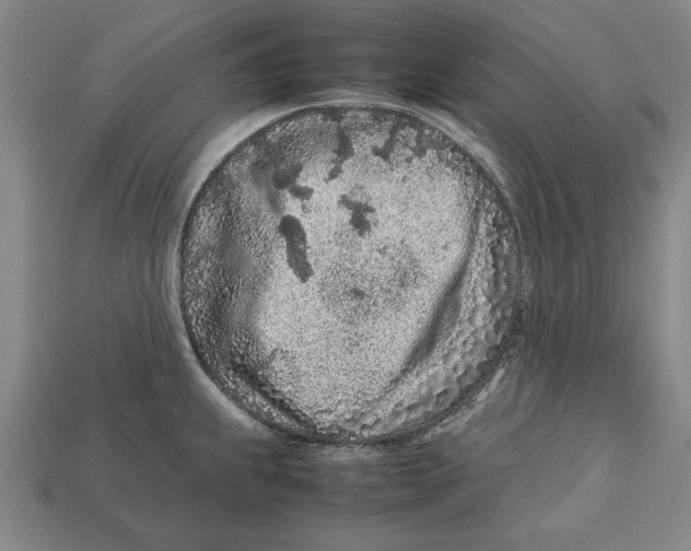 X0000113011239200909241345