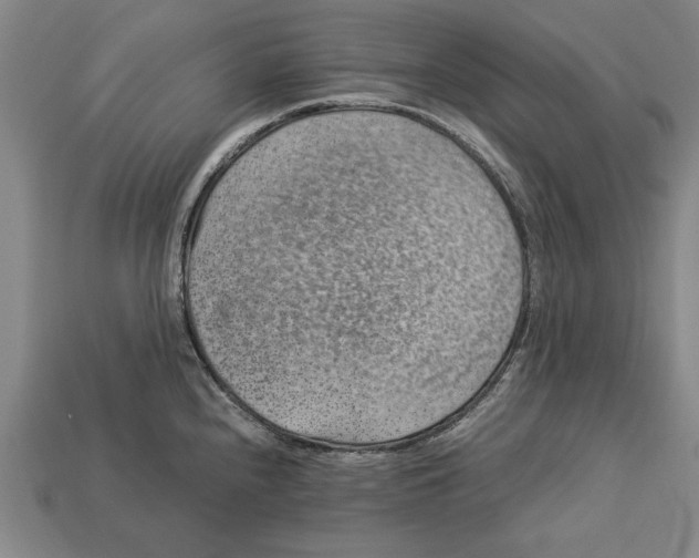 X0000113011240200909241345