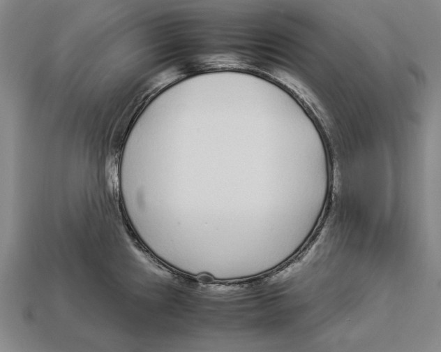X0000113011241200909241345