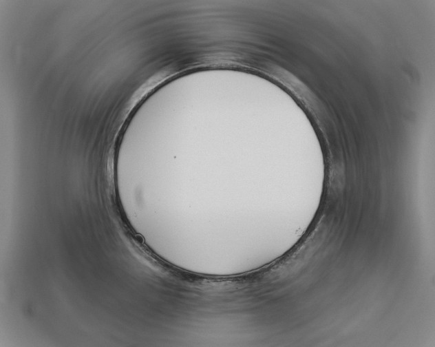 X0000113011242200909241345