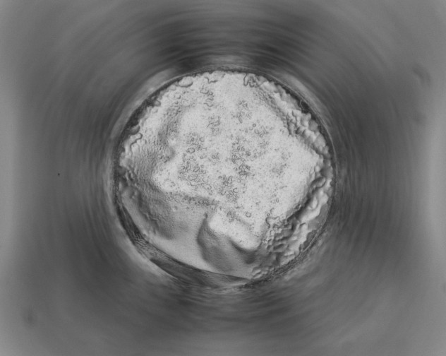 X0000113011243200909241345