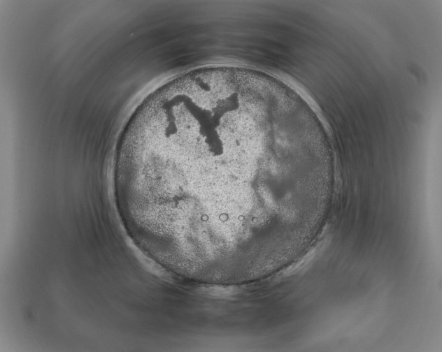 X0000113011245200909241345