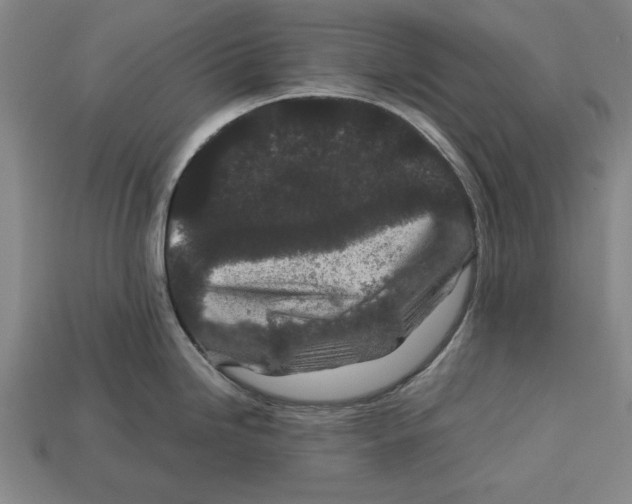 X0000113011246200909241345