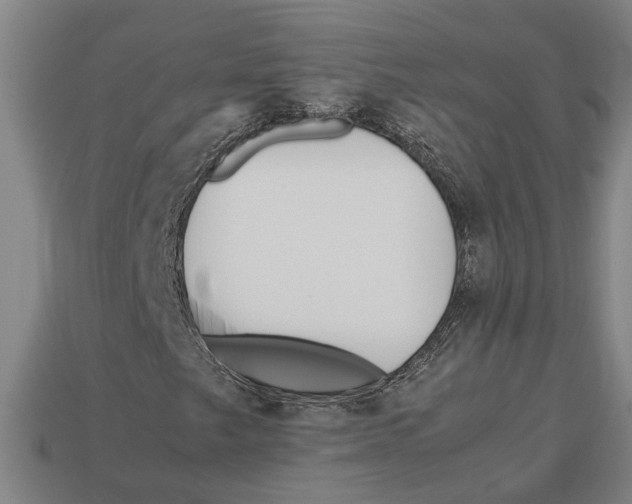 X0000113011249200909241344