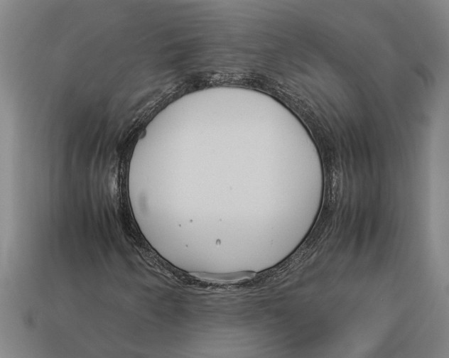 X0000113011250200909241344