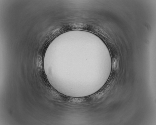 X0000113011251200909241344