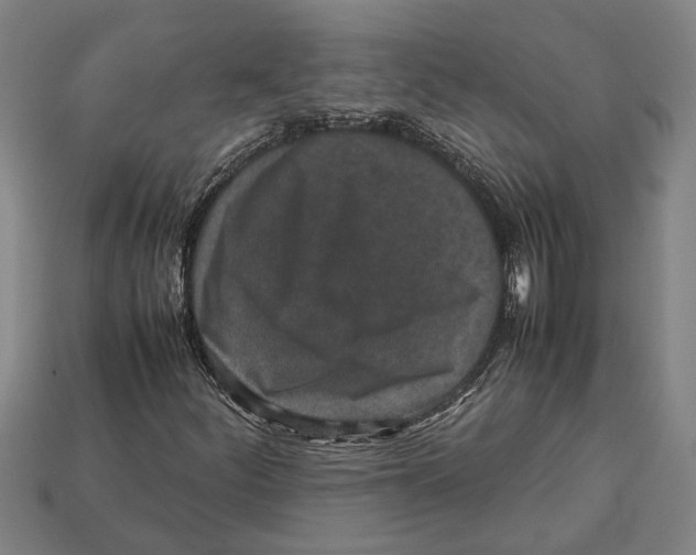 X0000113011252200909241344