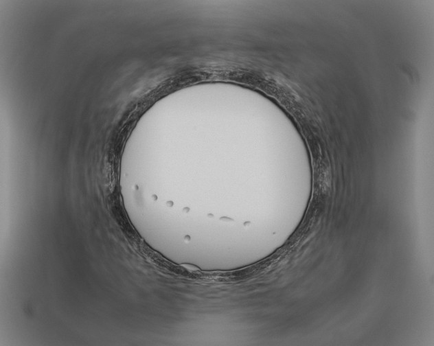 X0000113011253200909241344