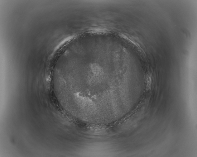 X0000113011254200909241344