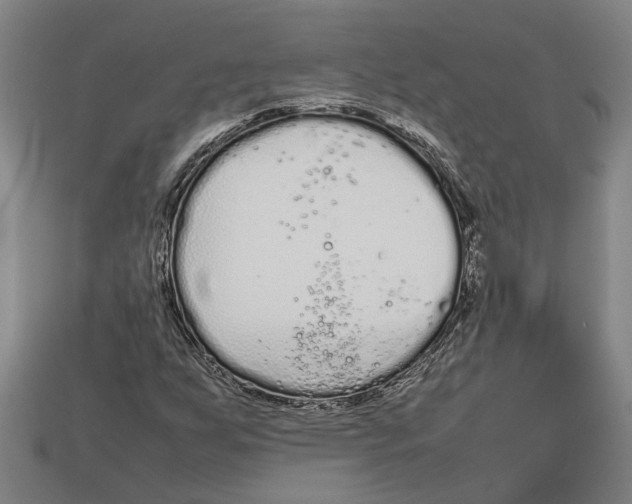 X0000113011255200909241344
