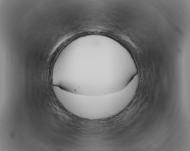 X0000113011256200909241344