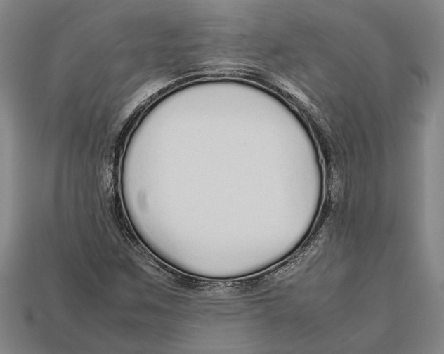 X0000113011259200909241344