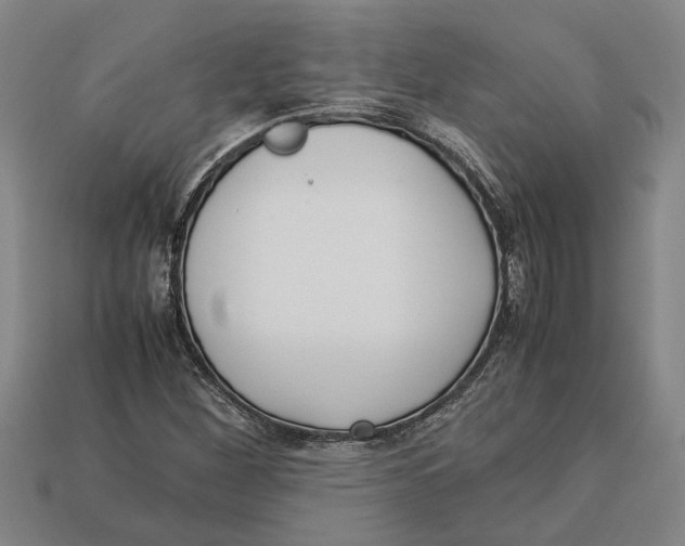 X0000113011260200909241344