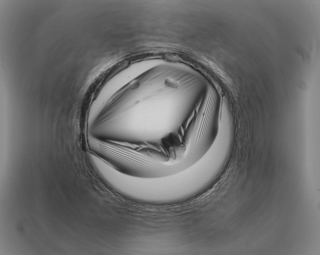 X0000113011261200909241344