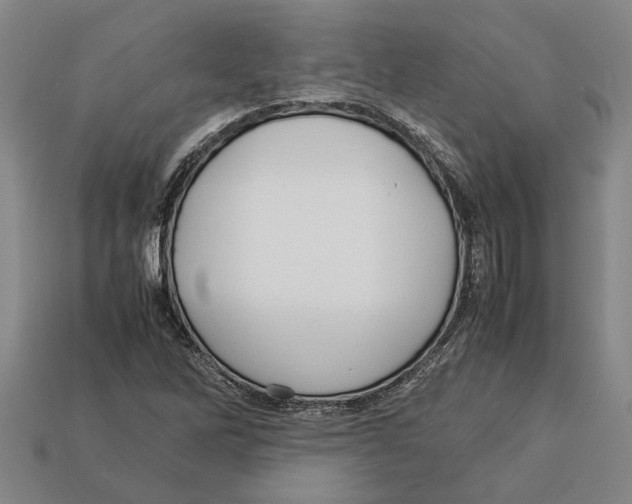 X0000113011262200909241344