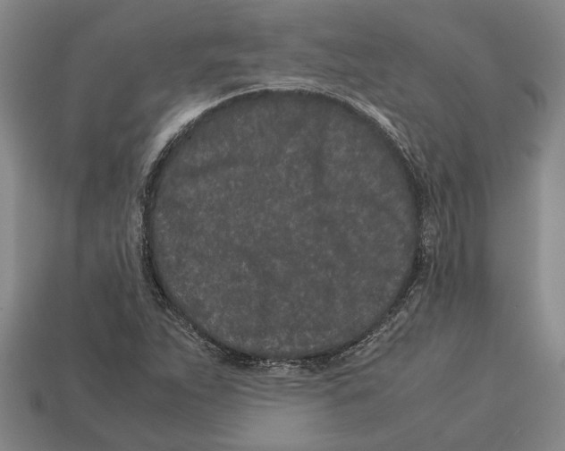 X0000113011263200909241344