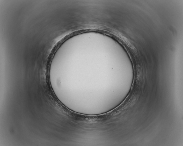 X0000113011264200909241344