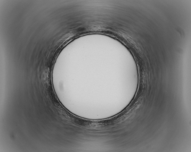 X0000113011265200909241344