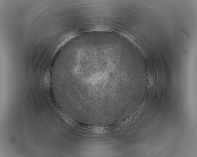 X0000113011266200909241344
