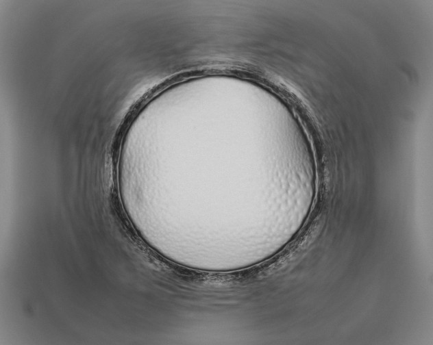 X0000113011267200909241344