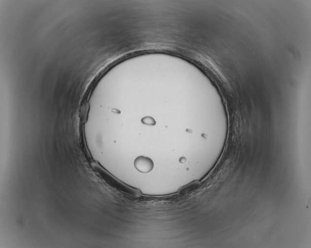 X0000113011268200909241344
