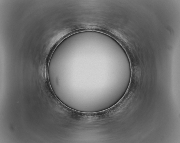 X0000113011269200909241344