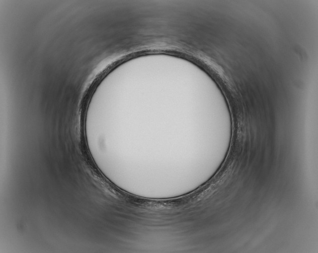 X0000113011270200909241344
