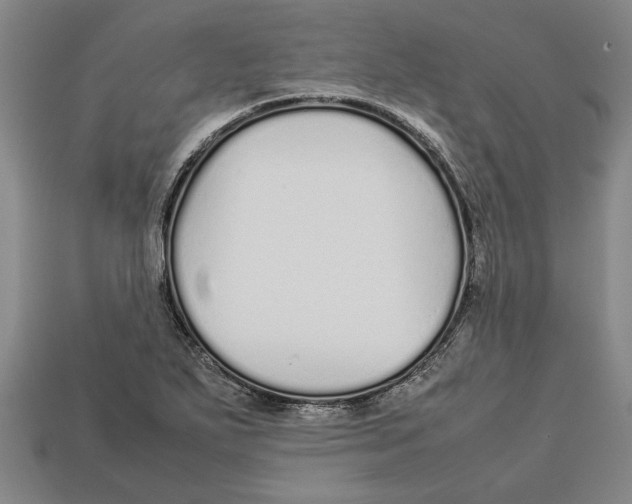 X0000113011271200909241344