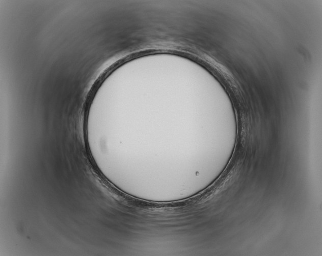 X0000113011272200909241344