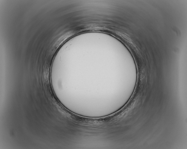 X0000113011273200909241344