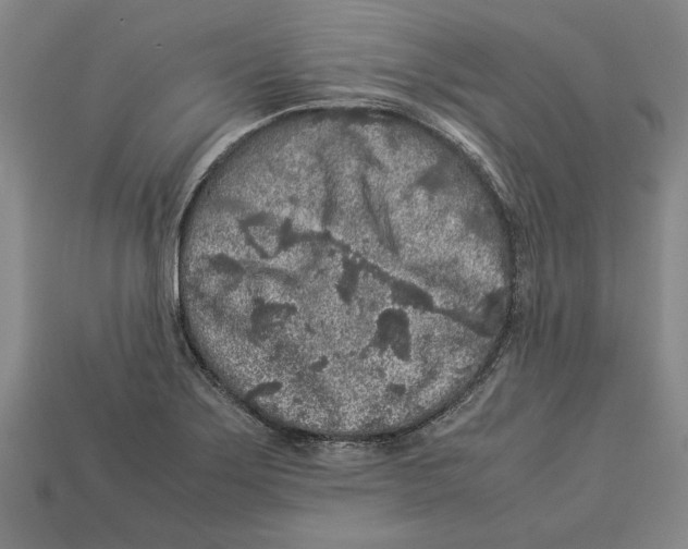 X0000113011275200909241344