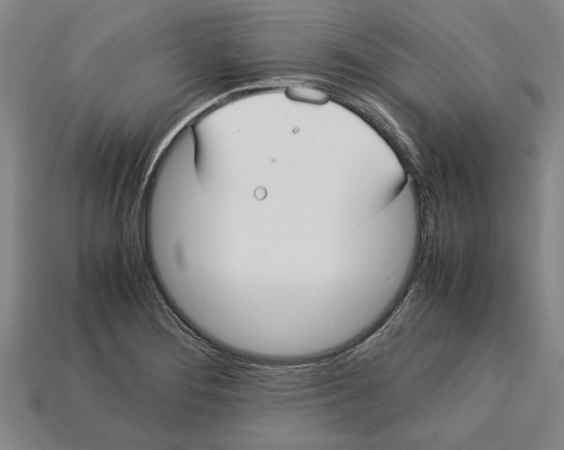 X0000113011276200909241344