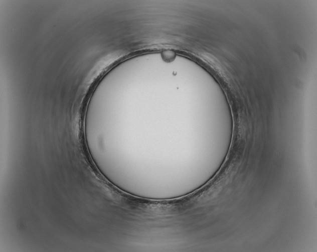 X0000113011277200909241344